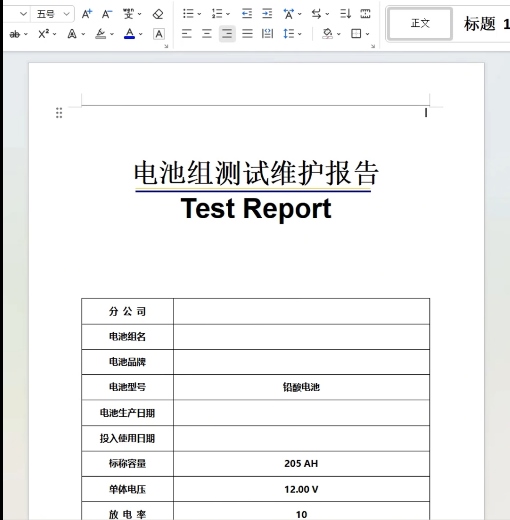 蓄电池充放电测试仪报表.jpg